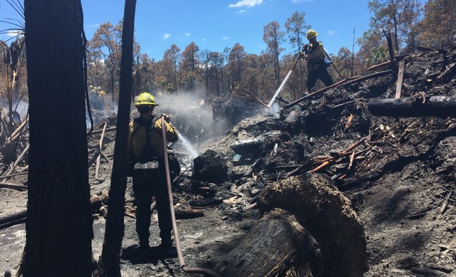 Growing wildfire in Okefenokee refuge exceeds 90 sq. miles
